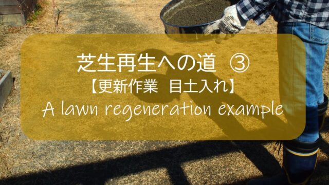 芝生再生への道 ３ 更新作業 目土入れ 川砂 山砂じゃないけど この砂で大丈夫かな すすむｄｉｙ Susumu Diy