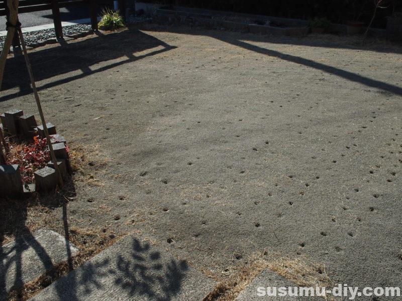 芝生再生への道 ５ コンクリート用の砂を目土に使った結果 芝生は芽吹いたのか すすむｄｉｙ Susumu Diy