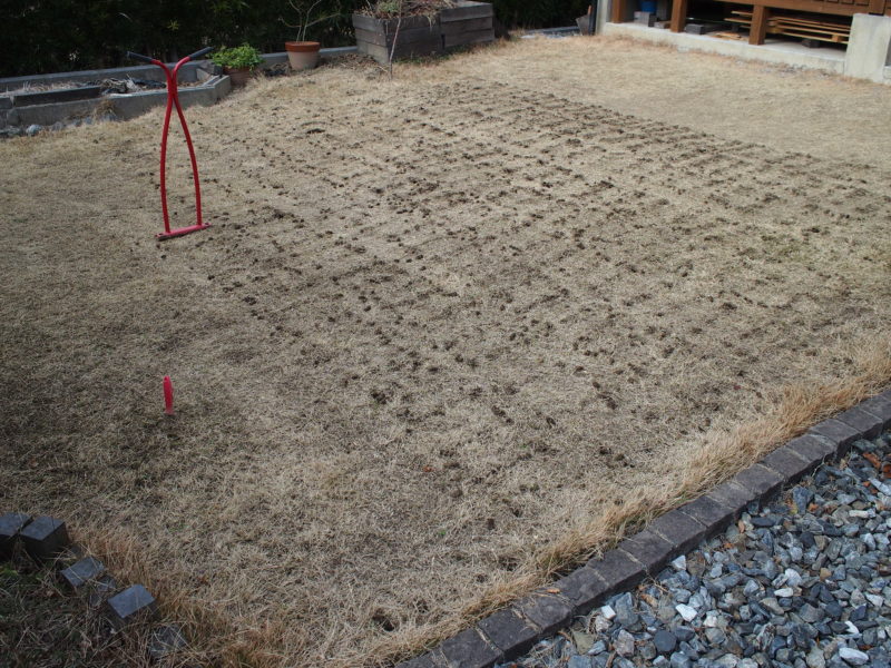 芝生再生への道 ２ 失敗した芝生をよみがえらせるために 更新作業 まずはサッチングとエアレーション すすむｄｉｙ Susumu Diy