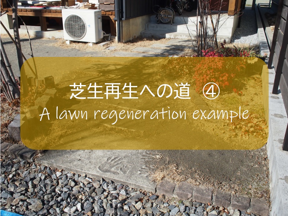 芝生再生への道 4 更新作業 コンクリート用の砂を使って 目土入れ 除草剤 カソロン と化成肥料を散布 すすむｄｉｙ Susumu Diy