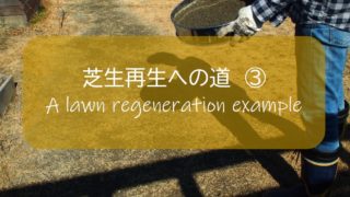 ガーデン ガーデンライフ ガーデニング 自然素材 自然素材住宅 自然素材の家 玄関アプローチ コンクリート モルタル 敷石 ウリン ウリン材 ピンコロ シマトネリコ ヤマボウシ 自作 庭づくり 庭 やればできる 外構 芝生 芝 芝刈り 芝生再生 芝生更新 芝刈り機 サッチング エアレーション 雑木の庭 雑木 木塀 ウッドフェンス 玄関アプローチ 芝 芝生 庭木 DIY DIY男子 DIY女子 自作 日曜大工 アウトドア 簡単 おしゃれ 材料 愛知県 岐阜県 三重県 すすむ susumu susumudiy