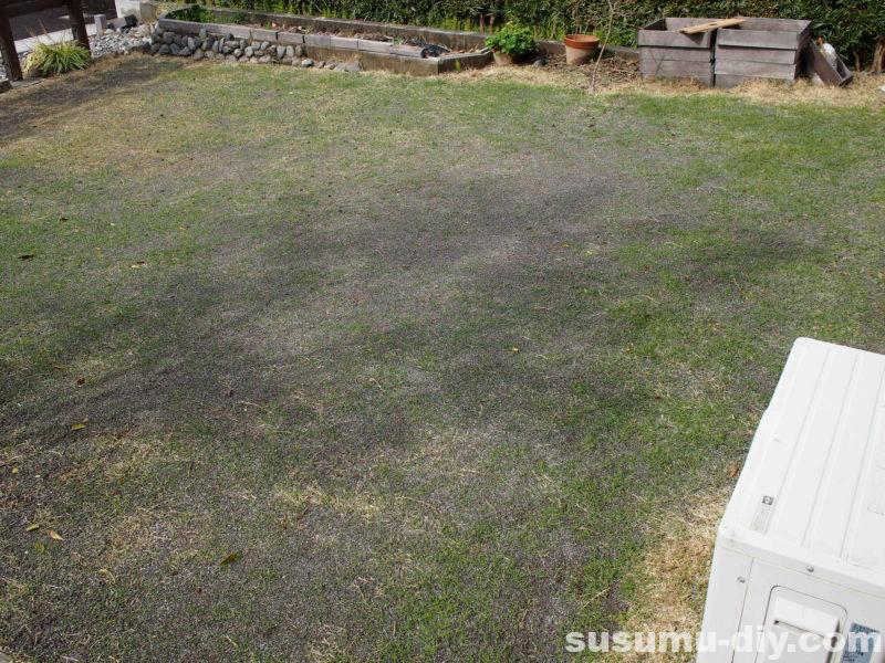 芝生再生への道 ５ コンクリート用の砂を目土に使った結果 芝生は芽吹いたのか すすむｄｉｙ Susumu Diy
