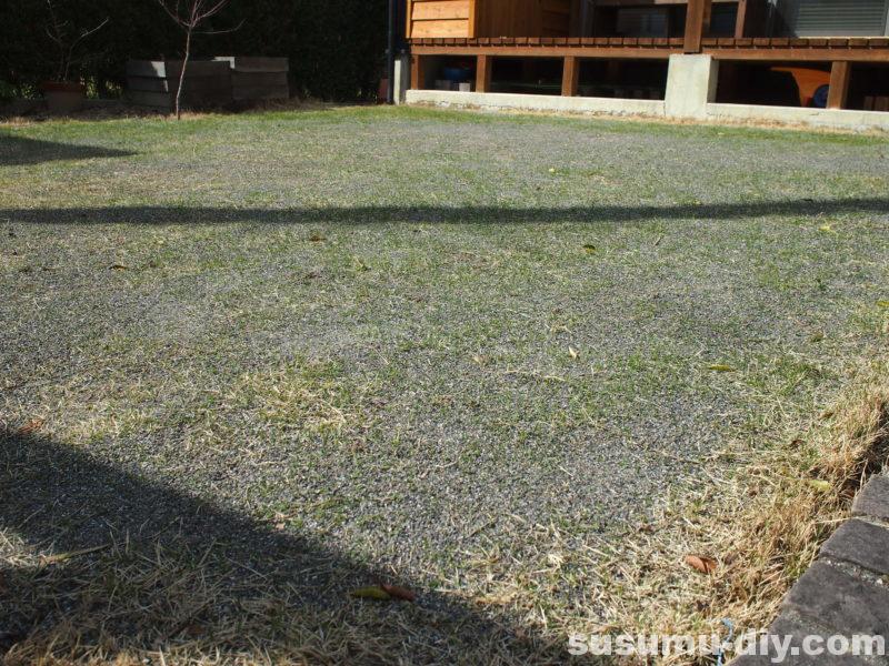 芝生再生への道 ５ コンクリート用の砂を目土に使った結果 芝生は芽吹いたのか すすむｄｉｙ Susumu Diy