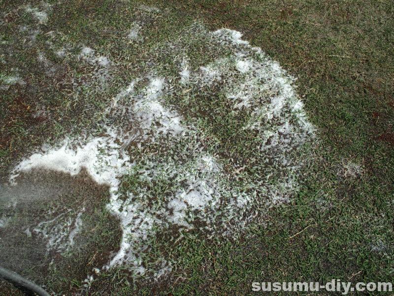 芝生再生への道 ７ ミミズ退治に初挑戦 どんな方法 椿油粕 効果はどうなったのか すすむｄｉｙ Susumu Diy