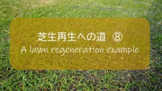 芝生再生への道 ７ ミミズ退治に初挑戦 どんな方法 椿油粕 効果はどうなったのか すすむｄｉｙ Susumu Diy