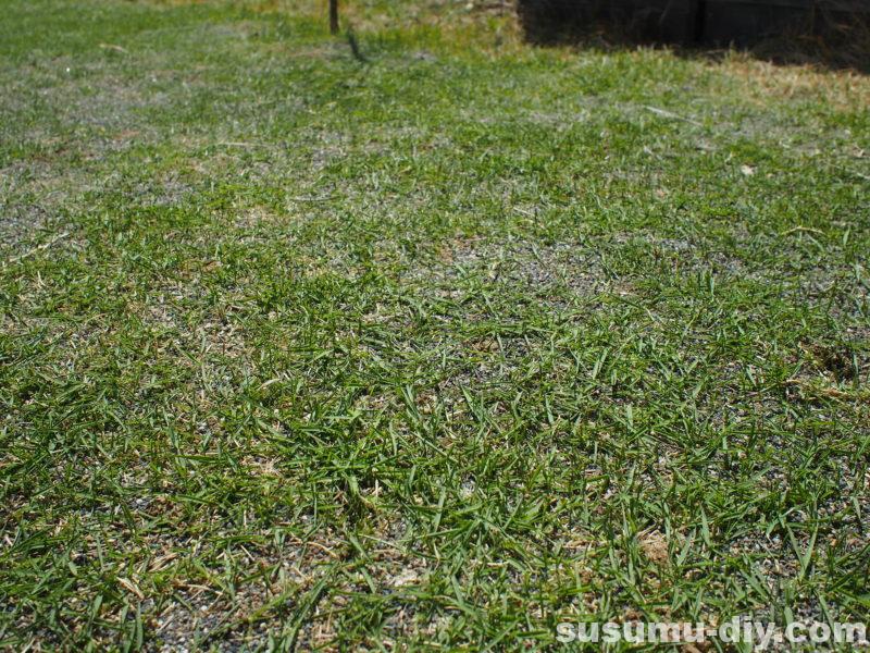 芝生再生への道 6 4月 44日後 芝生に穂が出てきたんで 今シーズン1回目の芝刈りやったよ すすむｄｉｙ Susumu Diy