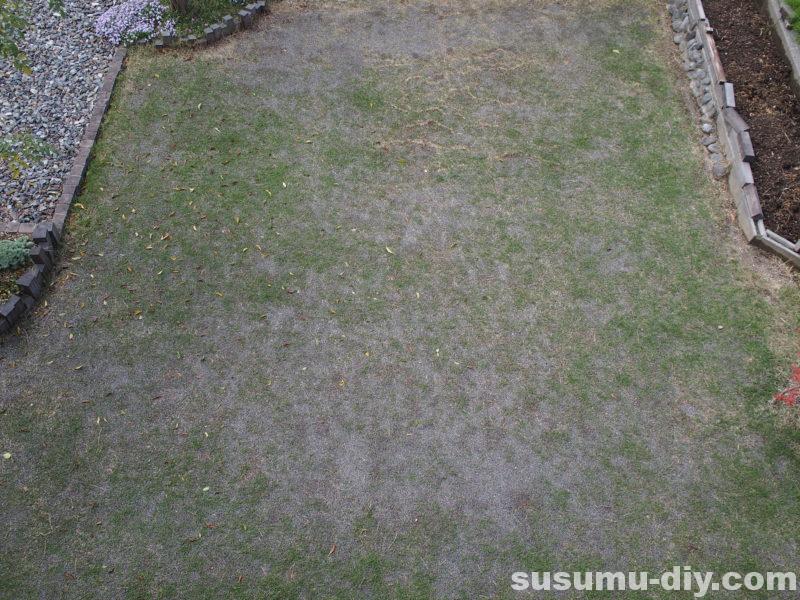 芝生再生への道 ８ 4月 58日後 今シーズン２回目の芝刈りと３回目の施肥をやったよ すすむｄｉｙ Susumu Diy