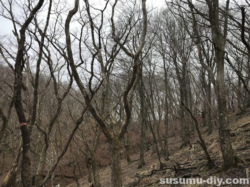 朝明駐車場 杉峠 トレッキング 登山 山登り trekking 鈴鹿 鈴鹿山脈 鈴鹿セブン 鈴鹿セブンマウンテン 鈴鹿の奥座敷 イブネ クラシ イブネ・クラシ 御在所岳 雨乞岳 鎌ヶ岳 入道ヶ岳 釈迦ヶ岳 竜ヶ岳 藤原岳 御池岳 三重県の山 ファミリー登山 自然 山 山ガール