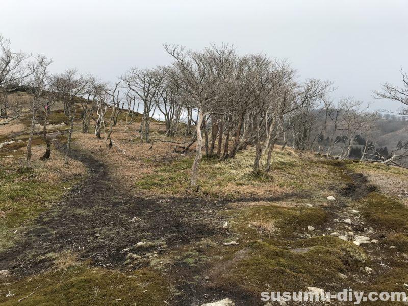 朝明駐車場 杉峠 トレッキング 登山 山登り trekking 鈴鹿 鈴鹿山脈 鈴鹿セブン 鈴鹿セブンマウンテン 鈴鹿の奥座敷 イブネ クラシ イブネ・クラシ 御在所岳 雨乞岳 鎌ヶ岳 入道ヶ岳 釈迦ヶ岳 竜ヶ岳 藤原岳 御池岳 三重県の山 ファミリー登山 自然 山 山ガール