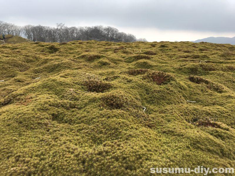 朝明駐車場 杉峠 トレッキング 登山 山登り trekking 鈴鹿 鈴鹿山脈 鈴鹿セブン 鈴鹿セブンマウンテン 鈴鹿の奥座敷 イブネ クラシ イブネ・クラシ 御在所岳 雨乞岳 鎌ヶ岳 入道ヶ岳 釈迦ヶ岳 竜ヶ岳 藤原岳 御池岳 三重県の山 ファミリー登山 自然 山 山ガール