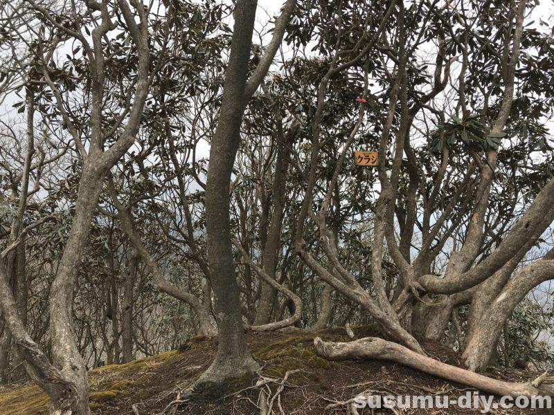 朝明駐車場 杉峠 トレッキング 登山 山登り trekking 鈴鹿 鈴鹿山脈 鈴鹿セブン 鈴鹿セブンマウンテン 鈴鹿の奥座敷 イブネ クラシ イブネ・クラシ 御在所岳 雨乞岳 鎌ヶ岳 入道ヶ岳 釈迦ヶ岳 竜ヶ岳 藤原岳 御池岳 三重県の山 ファミリー登山 自然 山 山ガール