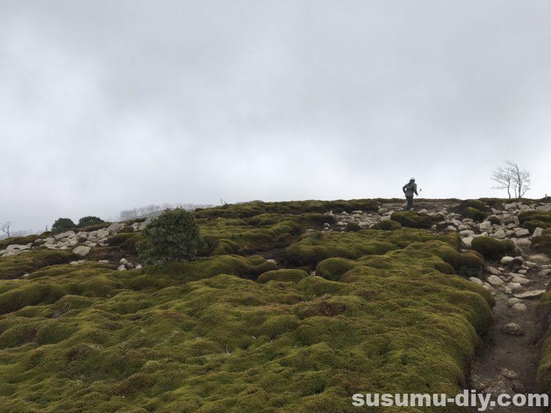 朝明駐車場 杉峠 トレッキング 登山 山登り trekking 鈴鹿 鈴鹿山脈 鈴鹿セブン 鈴鹿セブンマウンテン 鈴鹿の奥座敷 イブネ クラシ イブネ・クラシ 御在所岳 雨乞岳 鎌ヶ岳 入道ヶ岳 釈迦ヶ岳 竜ヶ岳 藤原岳 御池岳 三重県の山 ファミリー登山 自然 山 山ガール