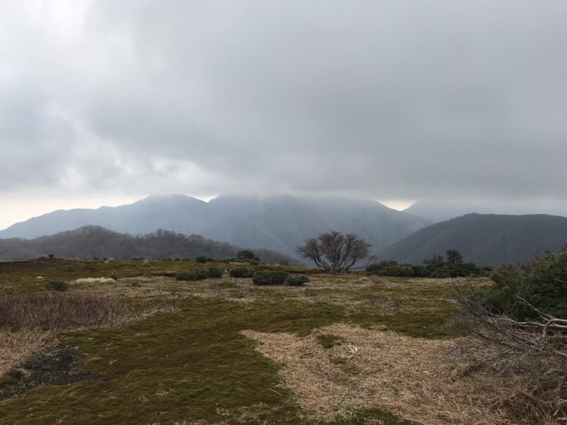 朝明駐車場 杉峠 トレッキング 登山 山登り trekking 鈴鹿 鈴鹿山脈 鈴鹿セブン 鈴鹿セブンマウンテン 鈴鹿の奥座敷 イブネ クラシ イブネ・クラシ 御在所岳 雨乞岳 鎌ヶ岳 入道ヶ岳 釈迦ヶ岳 竜ヶ岳 藤原岳 御池岳 三重県の山 ファミリー登山 自然 山 山ガール