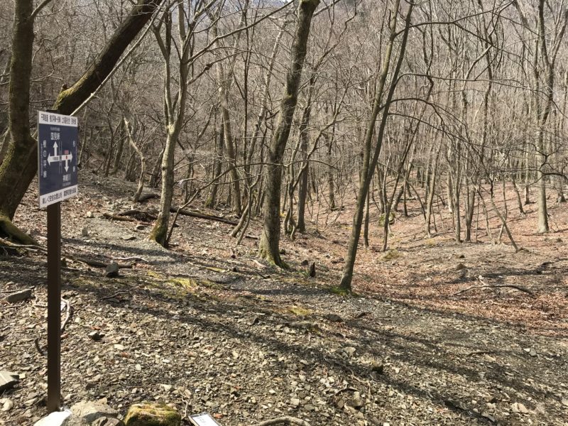 朝明駐車場 杉峠 トレッキング 登山 山登り trekking 鈴鹿 鈴鹿山脈 鈴鹿セブン 鈴鹿セブンマウンテン 鈴鹿の奥座敷 イブネ クラシ イブネ・クラシ 御在所岳 雨乞岳 鎌ヶ岳 入道ヶ岳 釈迦ヶ岳 竜ヶ岳 藤原岳 御池岳 三重県の山 ファミリー登山 自然 山 山ガール
