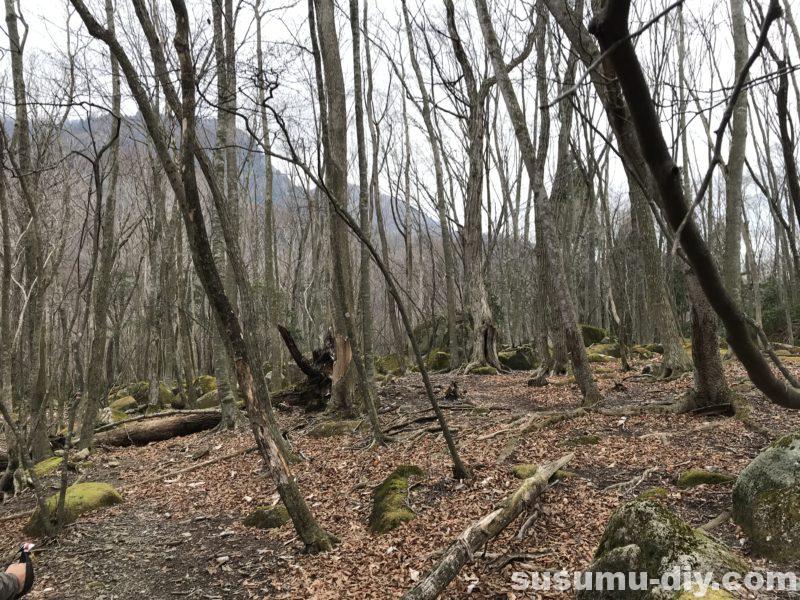 朝明駐車場 杉峠 トレッキング 登山 山登り trekking 鈴鹿 鈴鹿山脈 鈴鹿セブン 鈴鹿セブンマウンテン 鈴鹿の奥座敷 イブネ クラシ イブネ・クラシ 御在所岳 雨乞岳 鎌ヶ岳 入道ヶ岳 釈迦ヶ岳 竜ヶ岳 藤原岳 御池岳 三重県の山 ファミリー登山 自然 山 山ガール