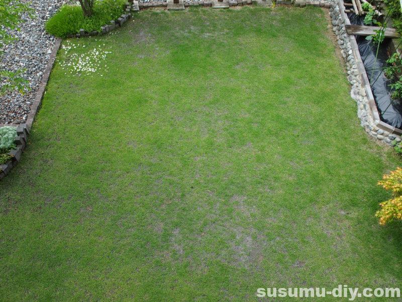 芝生再生への道 10 5月 86日後 芝刈り５回目 みどりが眩しくなってきた ミミズ糞塚が再発 すすむｄｉｙ Susumu Diy