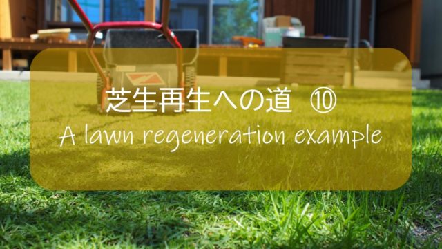 芝生再生への道 10 5月 86日後 芝刈り５回目 みどりが眩しくなってきた ミミズ糞塚が再発 すすむｄｉｙ Susumu Diy