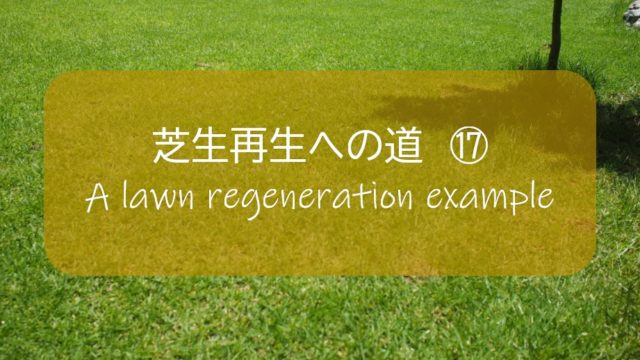 芝生再生 17 7月 149日後 やっと晴れた休日に芝刈り12回目と草抜きしました 高麗芝 すすむｄｉｙ Susumu Diy