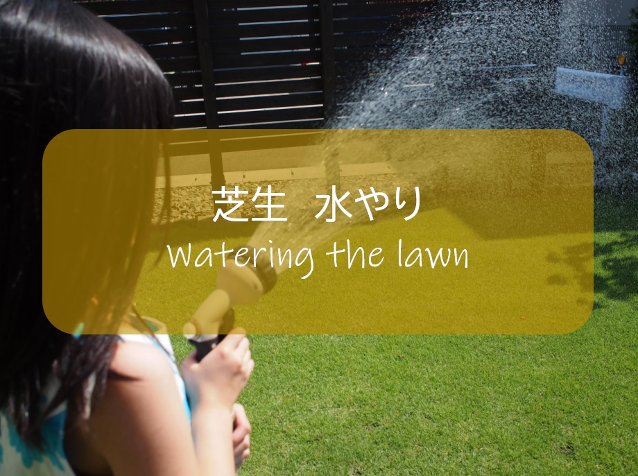 芝生の水やり 散水 朝の時間をおすすめする理由 すすむｄｉｙ Susumu Diy