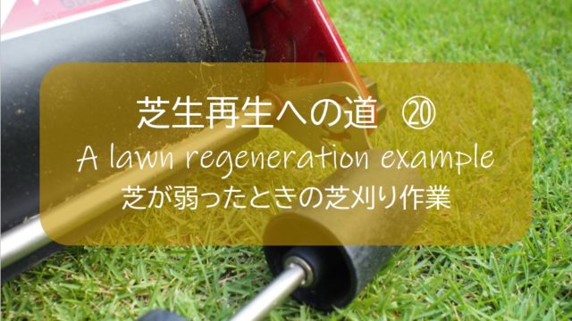 芝生再生 高麗芝 芝生が弱ったときにする芝刈り作業 とは 8月 184日後 芝刈り17回目 すすむｄｉｙ Susumu Diy
