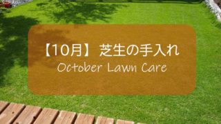 １１月の芝生手入れ 生育が止まり 高麗芝の葉色が落ちる すすむｄｉｙ Susumu Diy