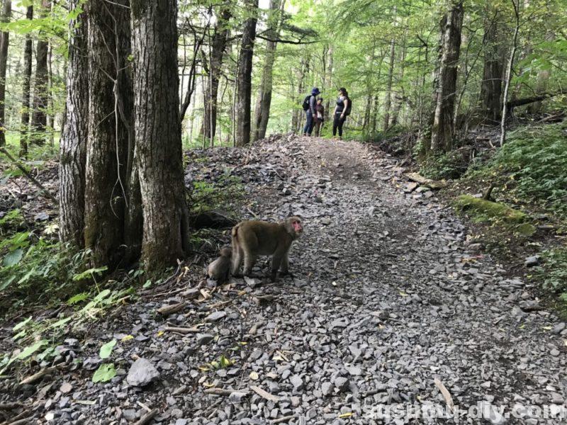 北穂高岳 涸沢 ルート 上高地 平湯 あかんだな 奥穂高岳 前穂高岳 涸沢岳 西穂高岳 初心者 山登り 登山 ハイキング hiking ハイク hike トレッキング trekking 単独 ソロ テント泊 テン泊 テント 1泊2日 岐阜県側 岐阜県 バス すすむ susumu susumudiy