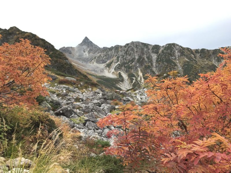 南岳 中岳 大喰岳 槍ヶ岳 南岳小屋 天狗池 天狗原 槍沢 ルート 上高地 平湯 あかんだな 初心者 山登り 登山 ハイキング hiking ハイク hike トレッキング trekking テント泊 テン泊 テント 1泊2日 岐阜県側 岐阜県 バス すすむ susumu susumudiy 紅葉