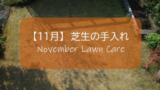 １１月の芝生手入れ 生育が止まり 高麗芝の葉色が落ちる すすむｄｉｙ Susumu Diy