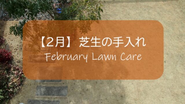２月の芝生手入れ 高麗芝の休眠期間に最も大切な作業は 冬雑草の草取り と 芝刈り機のメンテナンス すすむｄｉｙ Susumu Diy