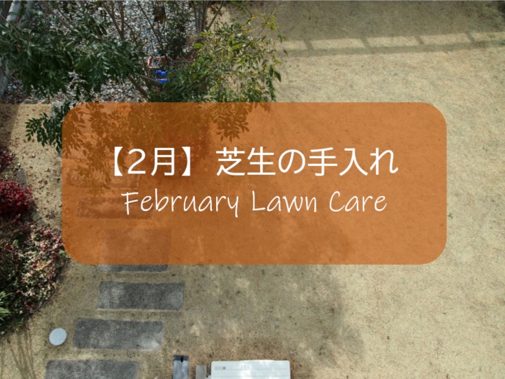 ２月の芝生手入れ 高麗芝の休眠期間に最も大切な作業は 冬雑草の草取り と 芝刈り機のメンテナンス すすむｄｉｙ Susumu Diy