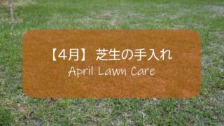 ３月の芝生手入れ 更新作業の適期です 春の訪れが早ければ新葉が伸び始めます すすむｄｉｙ Susumu Diy