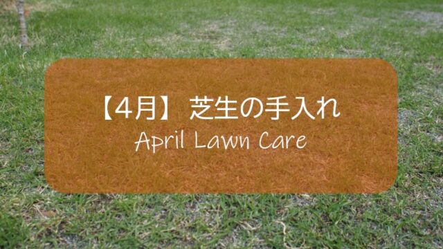 ４月の芝生手入れ 春本番 更新作業と補修作業の適期です すすむｄｉｙ Susumu Diy