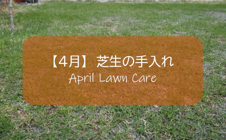 ４月の芝生手入れ 春本番 更新作業と補修作業の適期です すすむｄｉｙ Susumu Diy