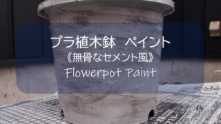 植木鉢ペイント植木鉢リメイク 植木鉢 プラスチック植木鉢 無骨 セメント風 アンティーク風 ミッチャクロン プライマー ペイント paint 塗装 ペンキ 水性ペンキ 水性塗装 ペンキ臭い 塗装diy 100均 百均 セリア ダイソー アウトドア 壁掛け キッチン 男前インテリア インテリア 自然素材の家 自然素材 木の家 家いじり 庭いじり 庭づくり 庭 ガーデン ガーデニング 外構 雑木の庭 雑木 木塀 ウッドフェンス 玄関アプローチ 芝 芝生 庭木 無垢板 廃材 端材 木 木材 diy DIY DIY男子 DIY女子 自作 手作り 日曜大工 木工 アウトドア 簡単 おしゃれ 材料 愛知県 岐阜県 三重県 すすむ susumu susumudiy