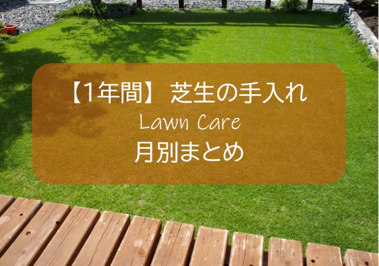 １２ヶ月 芝生の手入れ 月別まとめ よくわかる高麗芝の年間作業 すすむｄｉｙ Susumu Diy